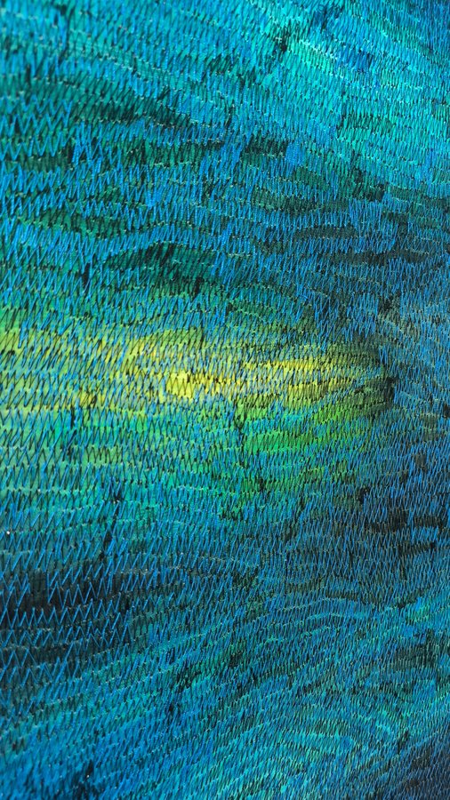 Atardecer con viento IV, 2025, Acrylic | thread embroidery | canvas
