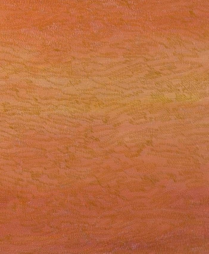 Viento del sol rasante II - Viento delsol rasante III, 2025, Acrylic | thread embroidery | canvas