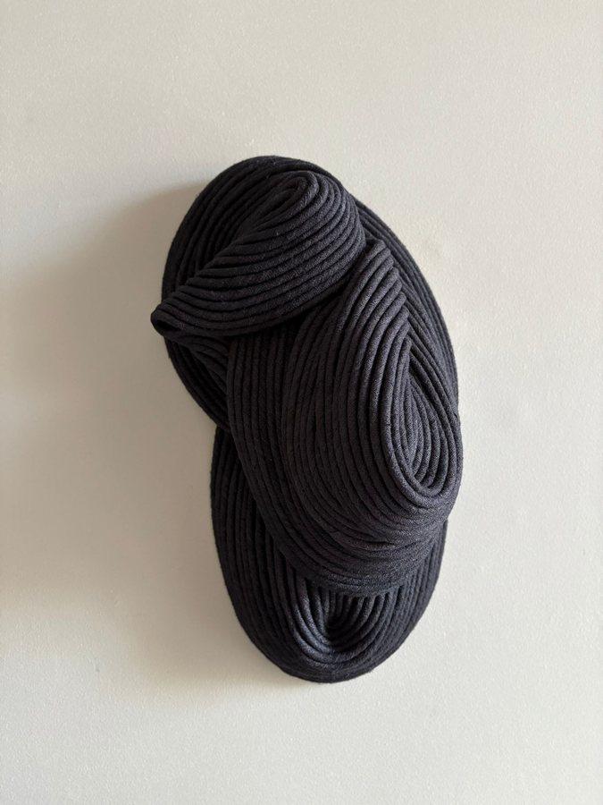 Char II, 2025, Wild silk with cotton cord filling | Backing hardened